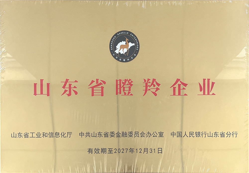 济南百易长青荣誉
